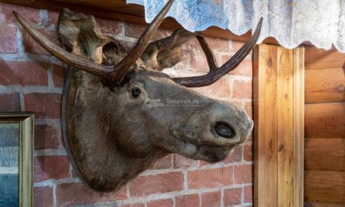 Фото Сауна Русская охота