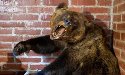 Фото Сауна Русская охота